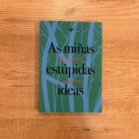 As miñas estúpidas ideas
