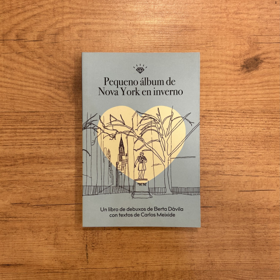 Pequeno álbum de Nova York en inverno