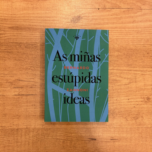 As miñas estúpidas ideas
